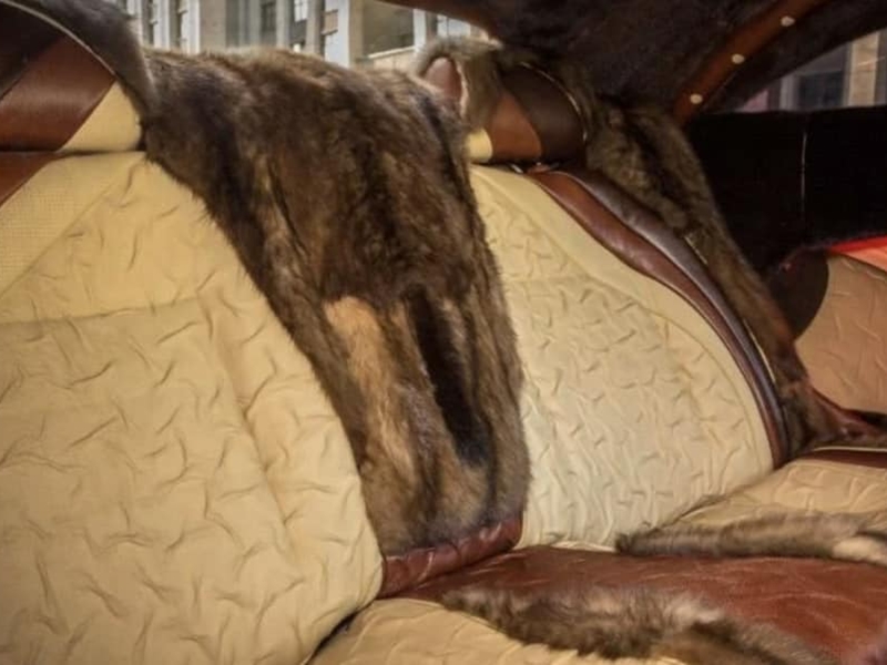 سيارة ملكية من الجلد بالكامل معروضة للبيع في روسيا