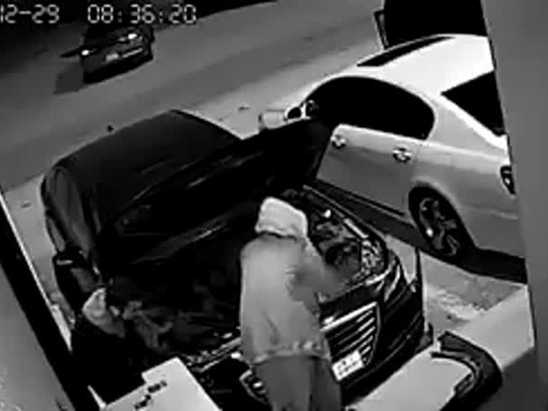 فيديو صورته كاميرا المراقبة .. يسرقان السيارة أثناء وقوفها