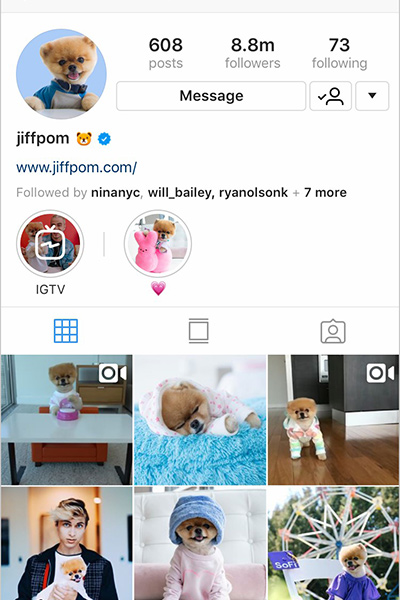 IGTV: الدليل النهائي لمنصة فيديو انستجرام الجديدة