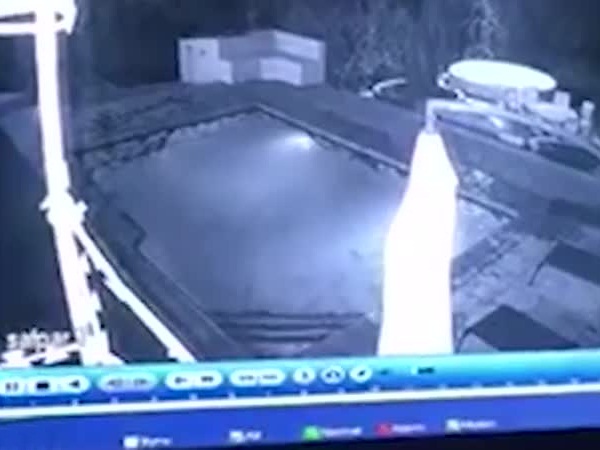 تركها بمفردها تحارب التمساح وفر هاربًا .. فيديو