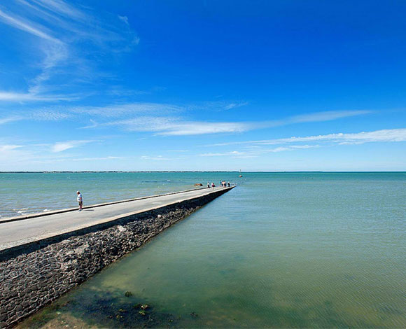 طريق Passage du Gois الذي يختفي تحت الماء في فرنسا
