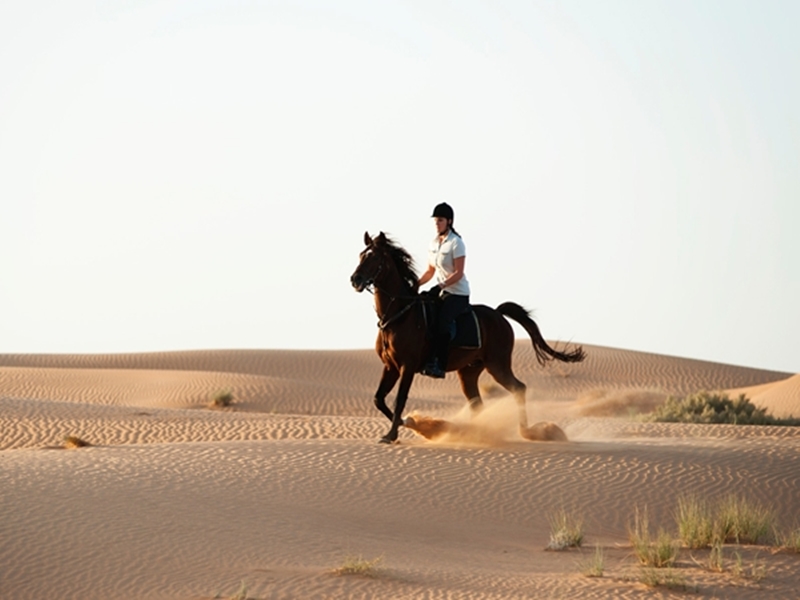 كيفية ممارسة رياضة ركوب الخيل