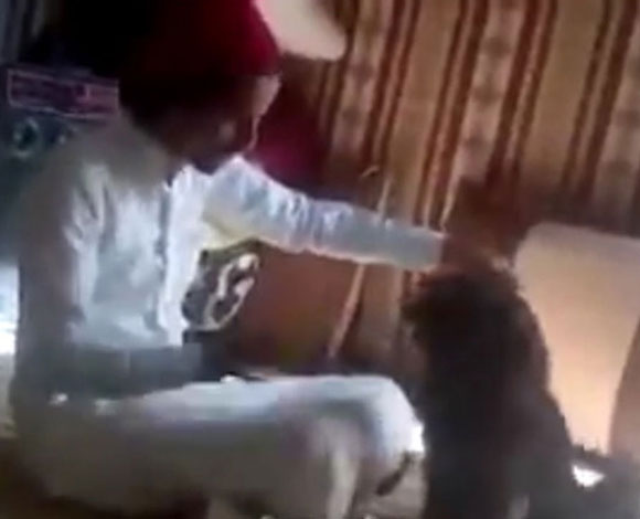 شاهد بالفيديو سعودي يكلم كلب الانكليزية بطريقة مضحكة