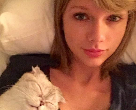 نجمات تتباهين على الإنترنت بإطلالاتهن المثيرة بدون ماكياج