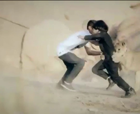 بالفيديو- أسد كاد أن يقضي على طفل سعودي