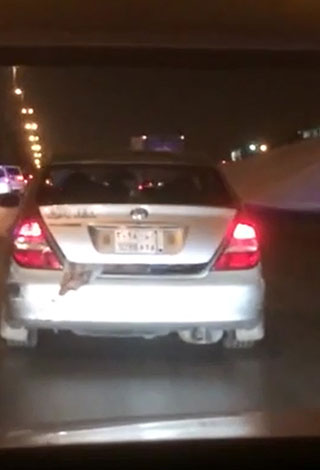 بالفيديو: فضيحة على طرقات الرياض