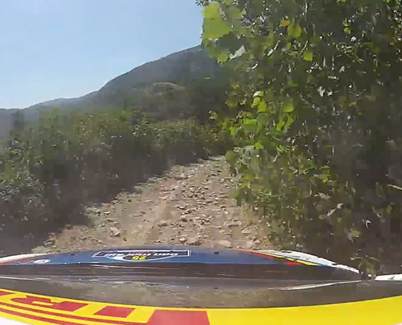 بالفيديو – سباق بين غزال وسيارة رالي