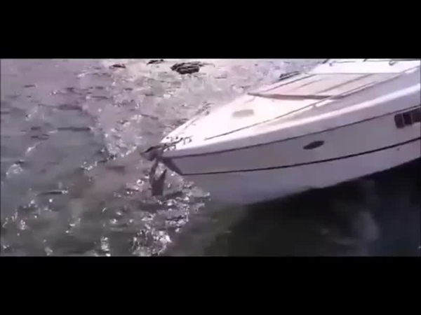 شاهد مراهق يحطم يخت والده الفاخر