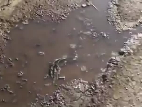 شاهد كارثة تستدعى التدخل في محايل عسير