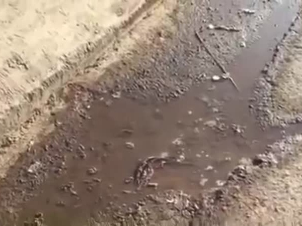 شاهد كارثة تستدعى التدخل في محايل عسير