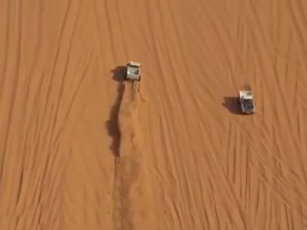 نهاية أليمة لتطعيس خطير .. فيديو