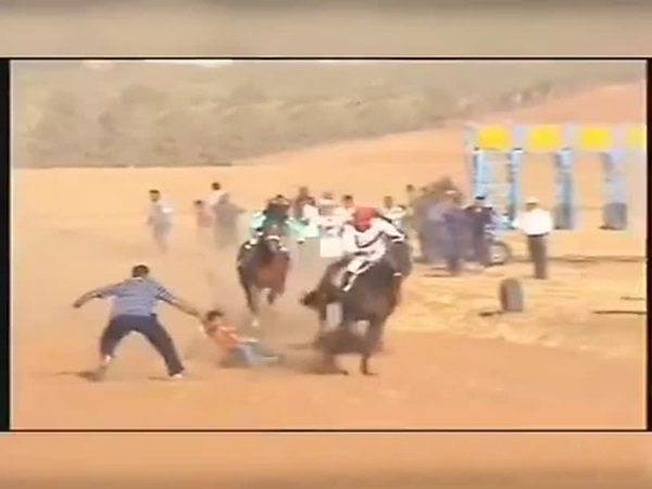 بالفيديو .. إنقاذ طفل من الدهس بحوافر الجياد