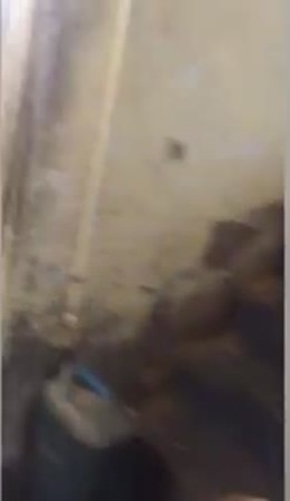 القبض على مصنع للذهب المغشوش في المملكة