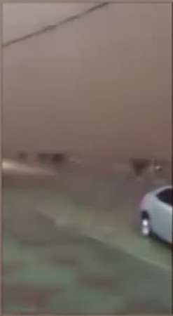 إنقاذ 12 شخص من سيول بيشة