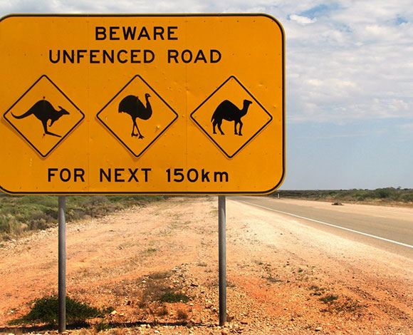 هل تبحث عن دولة جديدة للعيش فيها؟ اليك الأفضل على صعيد السعادة والثراء وانعدام الجريمة