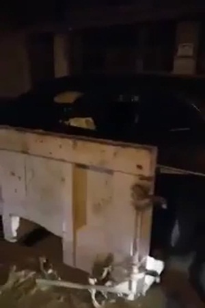 بالفيديو .. حادث سيارة أثناء تعلم سيدة للقيادة