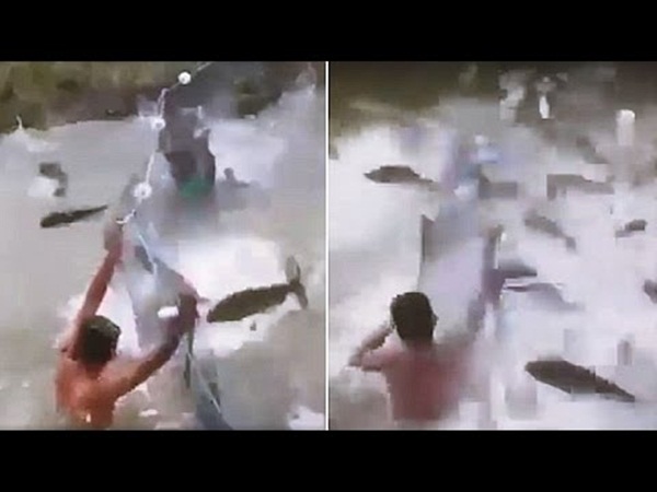 شاهد أسماك تطير وتهاجم الصيادين