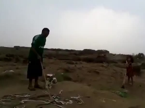 فيديو .. فوجئ ب160 ثعبانًا في مزرعته
