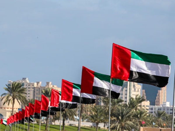 حقائق قد لا تعرفها عن علم الإمارات