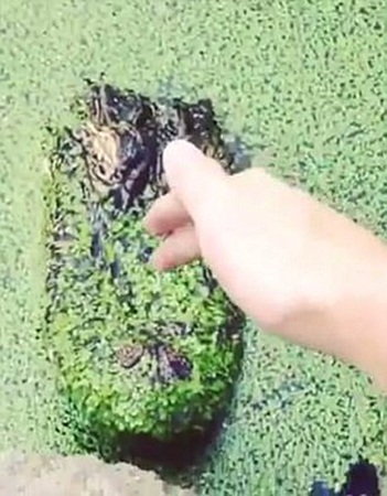 فيديو .. كاد أن يفقد يده بسبب هذا الغاضب