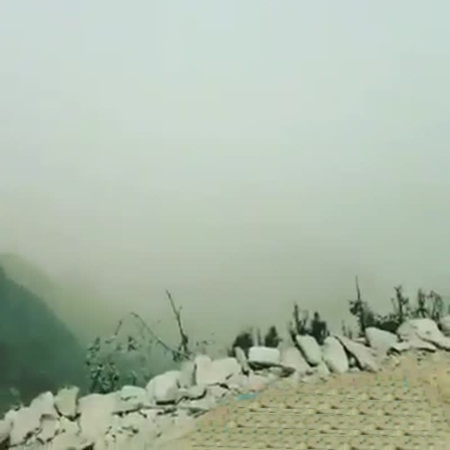 بالفيديو .. المجاهدون يحبطون عمليات تهريب عبر الحدود الجنوبية