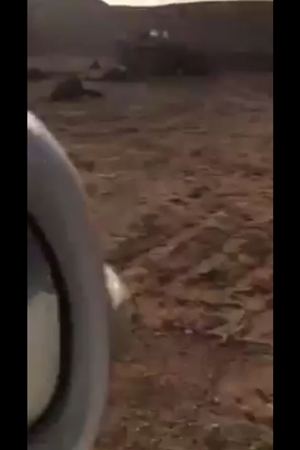 شاهد مجهولون يقومون بالانتقام من كفيلهم في إبله