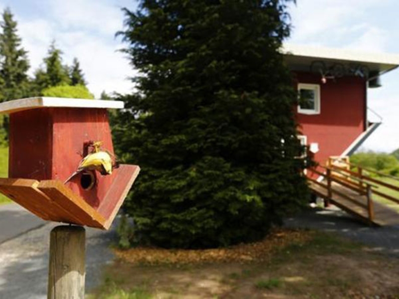"Crazy House" المنزل المقلوب في ألمانيا