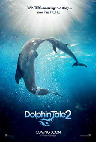 افلام تتنافس على المرتبة الأولى وفيلم "مطلقة ورجل غريب" يحتل الـ Box Office
