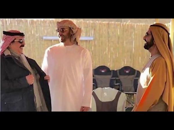 صور الشيخ محمد بن زايد يصطاد الصقور في المغرب