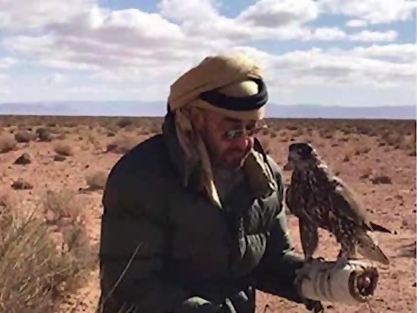 صور الشيخ محمد بن زايد يصطاد الصقور في المغرب