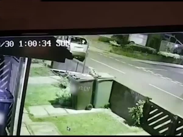 إنهم يصطدمون بالسيارات بأجسامهم .. ثم يفرون هاربين