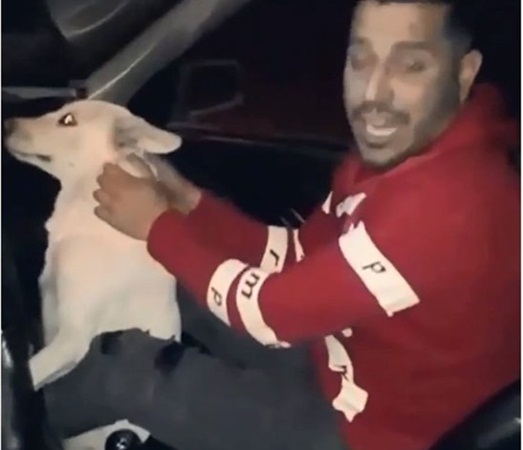 بالفيديو: كلب يتعرض للضرب بوحشية!