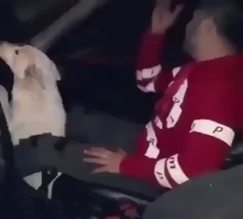 بالفيديو: كلب يتعرض للضرب بوحشية!