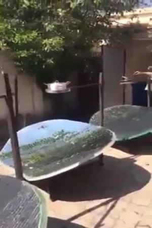 شاهد كيف طهى الآسيويين طعامهم في المملكة بطريقة تثير الإعجاب