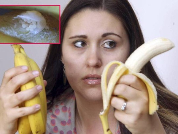 ما وجدته هذه السيدة في ثمار الموز مرعبًا