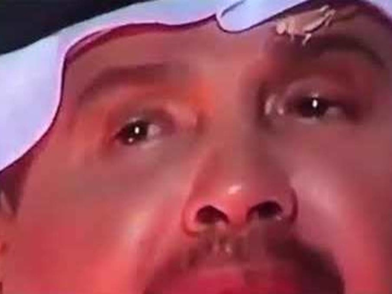 ردود فعل طريفة من السعوديين على تويتر على جراده محمد عبده