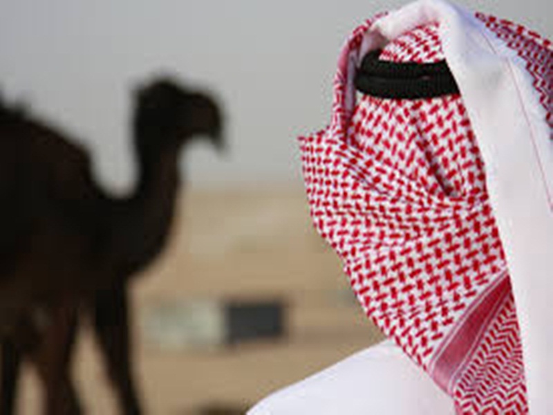 100 مليون ريال لإنشاء أكبر مستشفى للإبل بالعالم في القصيم