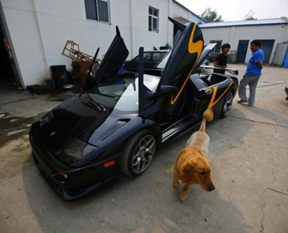 "Lamborghini Diablo" بنسخة مميزة لمحبي سباق السيارات والتفحيط