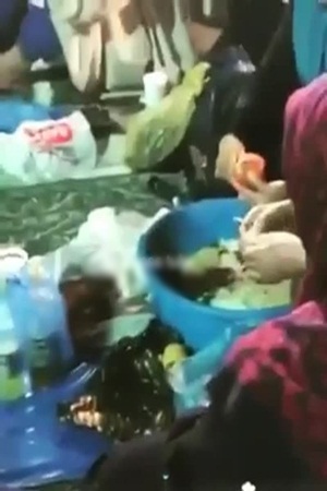 بالفيديو .. معتمرات يجهزن المحشي في الحرم المكي