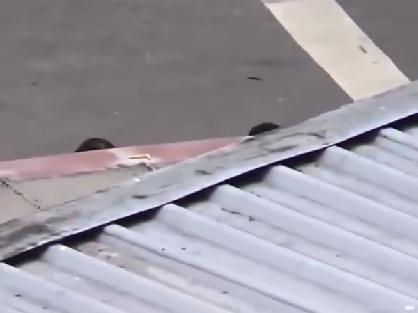 سرقة علنية في البرازيل .. ولا يتحرك أحد