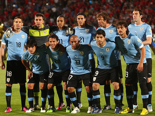 جولة على المنتخبات المتأهلة لكأس العالم 2014