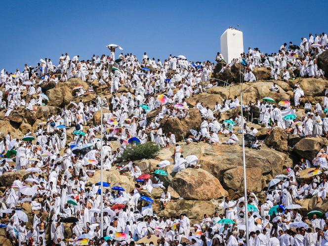 أفضل صور موسم الحج