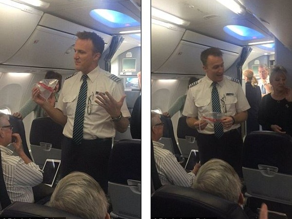 نورس يجبر قائد طائرة على الهبوط اضطراريًا ... والطيار يري المسافرين بقاياه