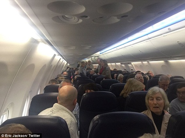 نورس يجبر قائد طائرة على الهبوط اضطراريًا ... والطيار يري المسافرين بقاياه