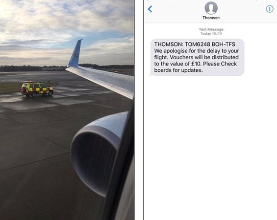 نورس يجبر قائد طائرة على الهبوط اضطراريًا ... والطيار يري المسافرين بقاياه