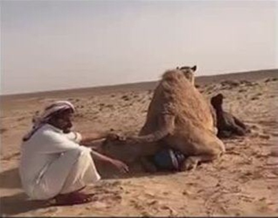 بالفيديو .. ماذا أهدى الوليد ابن طلال للطفل السحلي