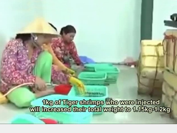 بالفيديو .. تعرف على طريقة جديدة للغش في بيع الروبيان