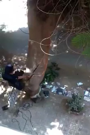 شاهد كيف ندم هذا الرجل على قطعه لهذه الشجرة