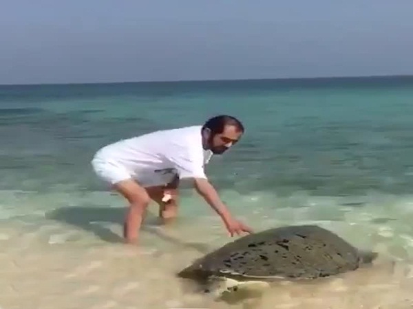 شاهد الشيخ محمد بن راشد وهو يساعد هذه السلحفاة