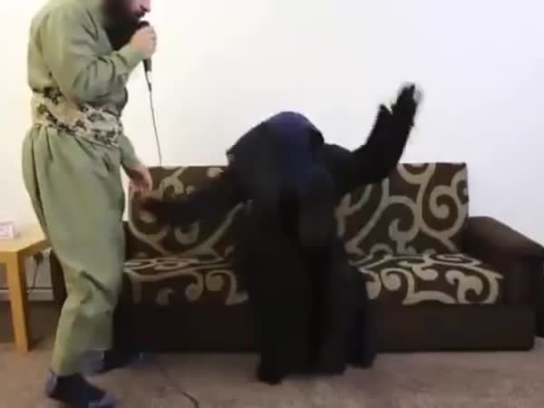 بالفيديو .. جلسة لإخراج الجن من جسد فتاة